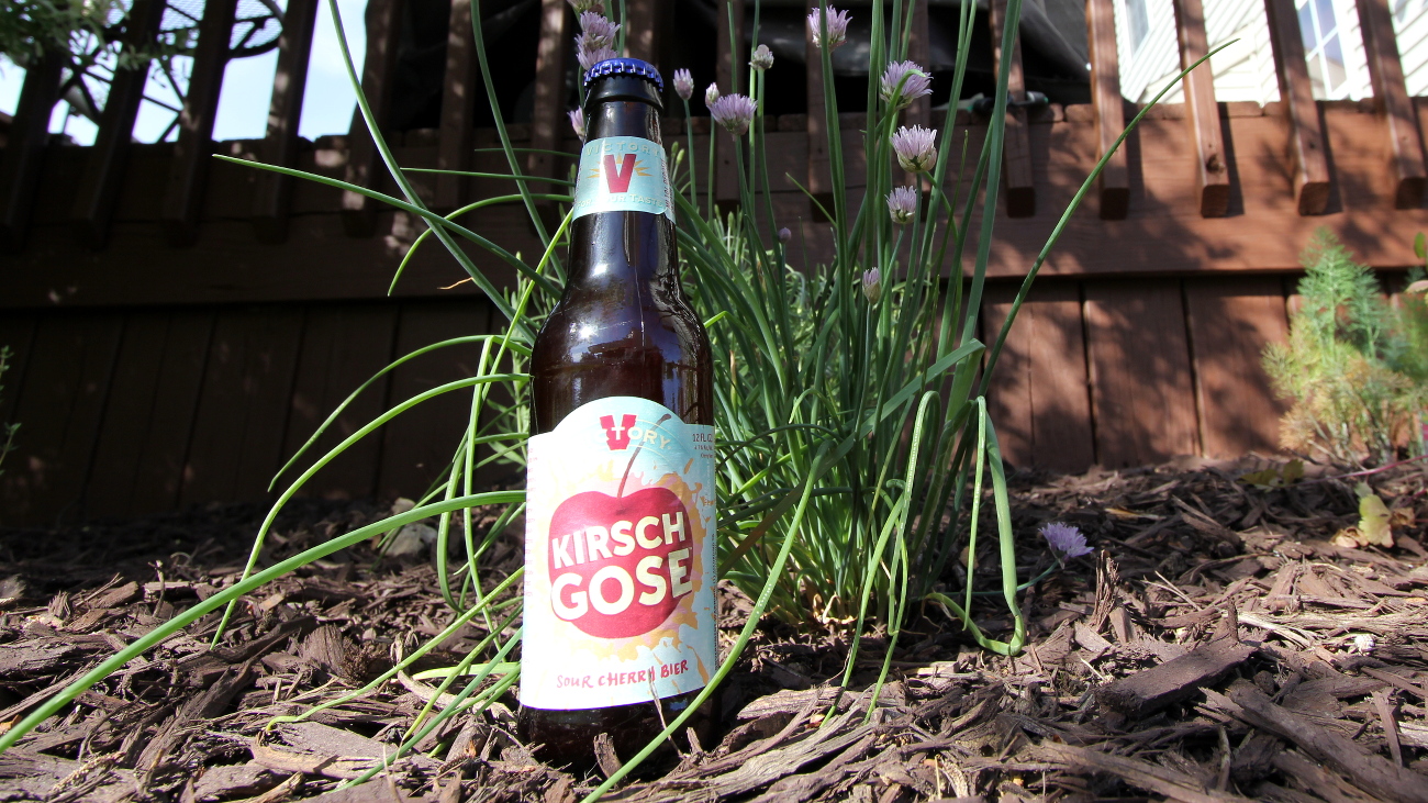 Stephs New Brew Review Kirsch Gose Beer Busters